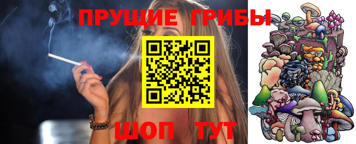 Галлюциногенные грибы Psilocybine cubensis  Галлюциногенные грибы Magic Shrooms  Димитровград  Вход с VPN 